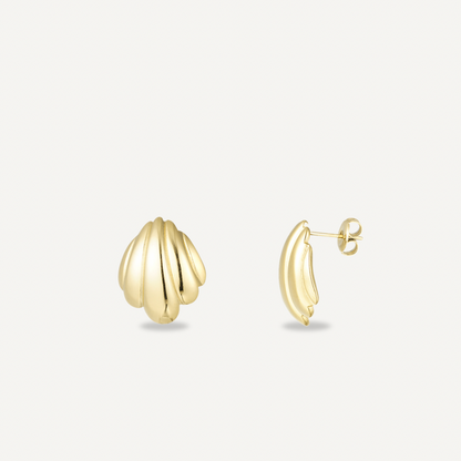 Golden Shell Ohrringe