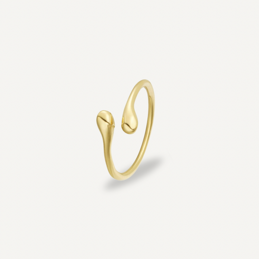 Drop Ring