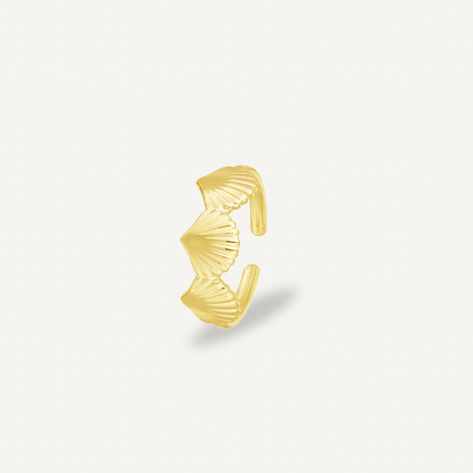 Shell Ring